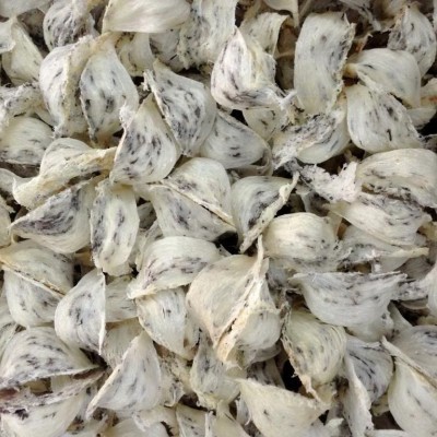 Yến thô đặc biệt - 100gr